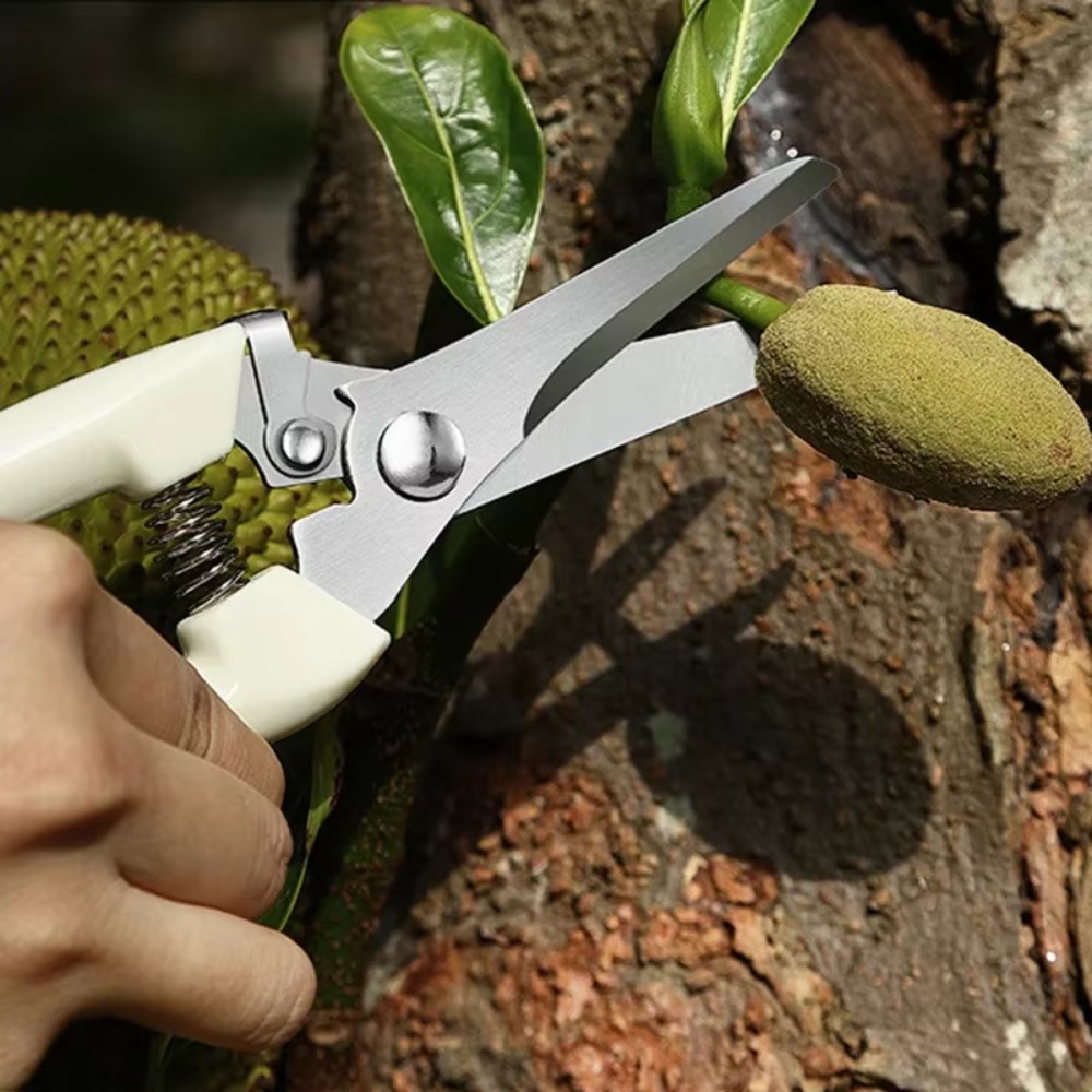 سكين تقليم احترافي، أدوات يدوي - مراجعة Gardening Tools Essential وسعره