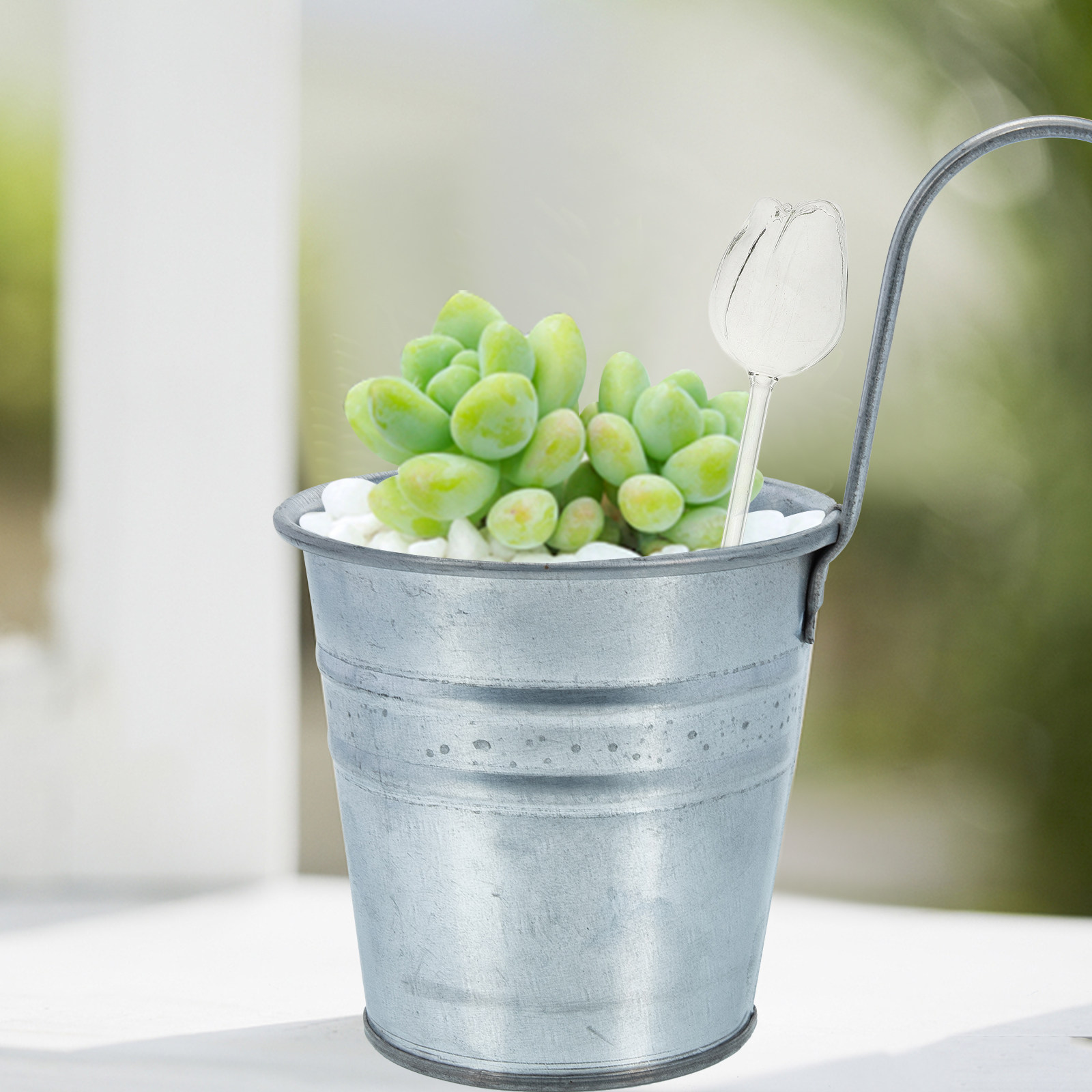 قطعتان من كرات الري الفاخرة ال - مراجعة Self-Watering Planter وسعره