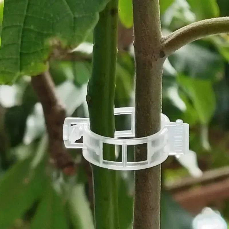 مشابك دعم النباتات قابلة لإعاد - مراجعة Gardening Tools Vegetables وسعره