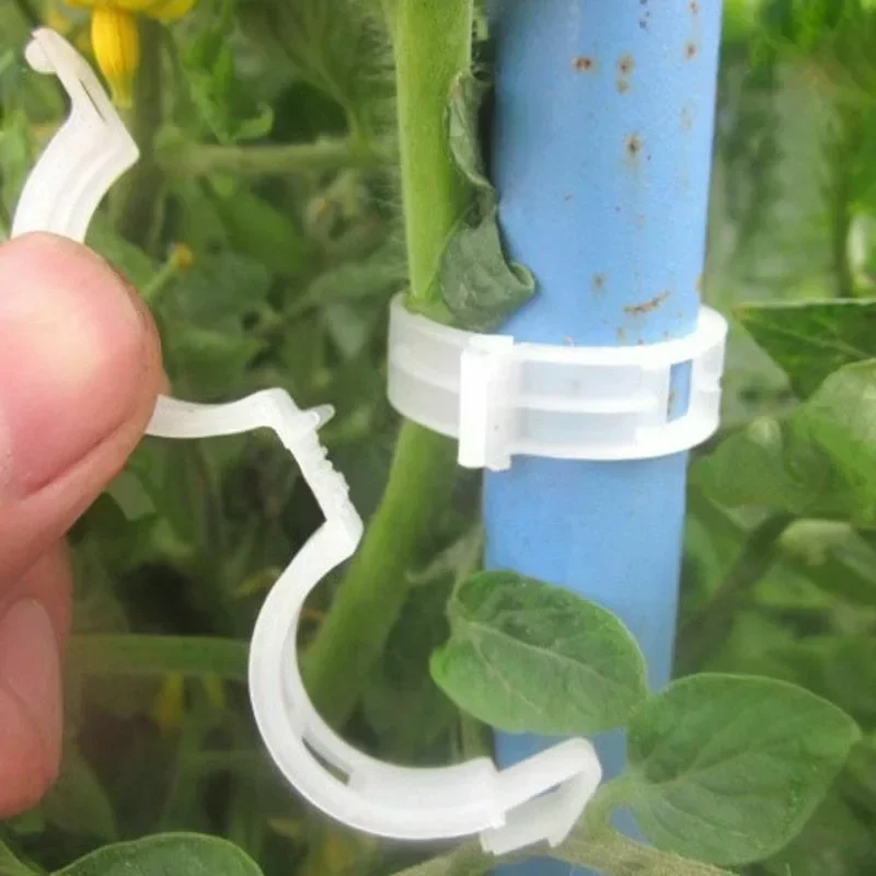 مشابك دعم النباتات قابلة لإعاد - مراجعة Gardening Tools Vegetables وسعره