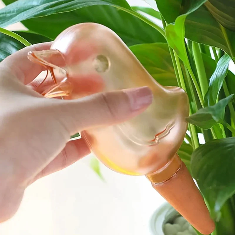 سقاية نباتات أوتوماتيكية عالية - مراجعة Automatic Plant Waterer وسعره