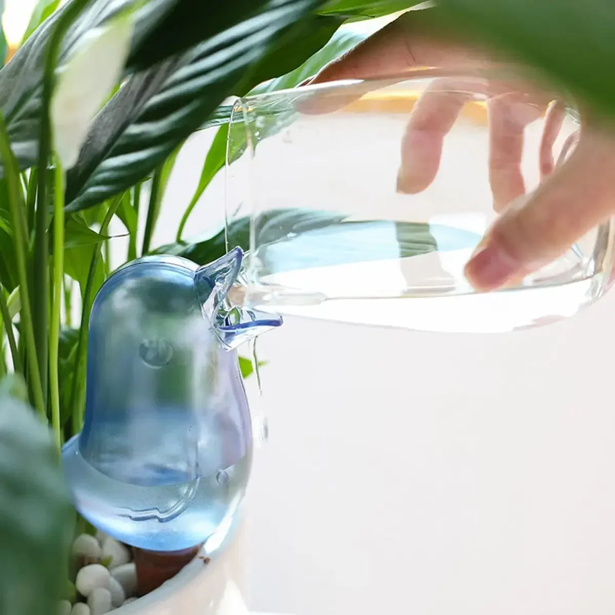 سقاية نباتات أوتوماتيكية عالية - مراجعة Automatic Plant Waterer وسعره